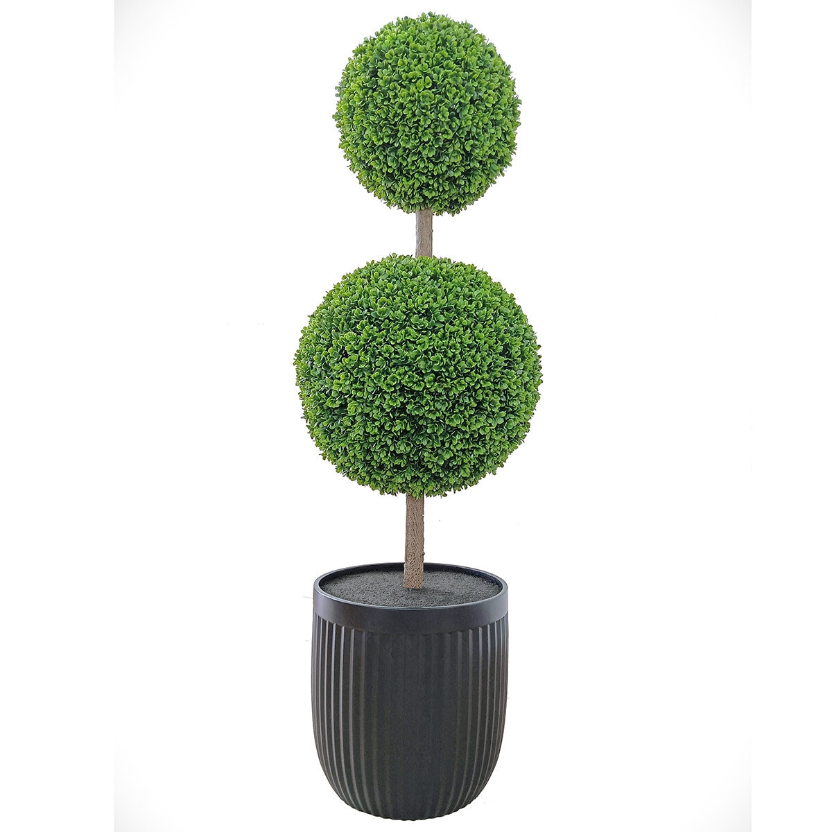 CG Hunter, Árbol Topiario de Boj de Aspecto Natural