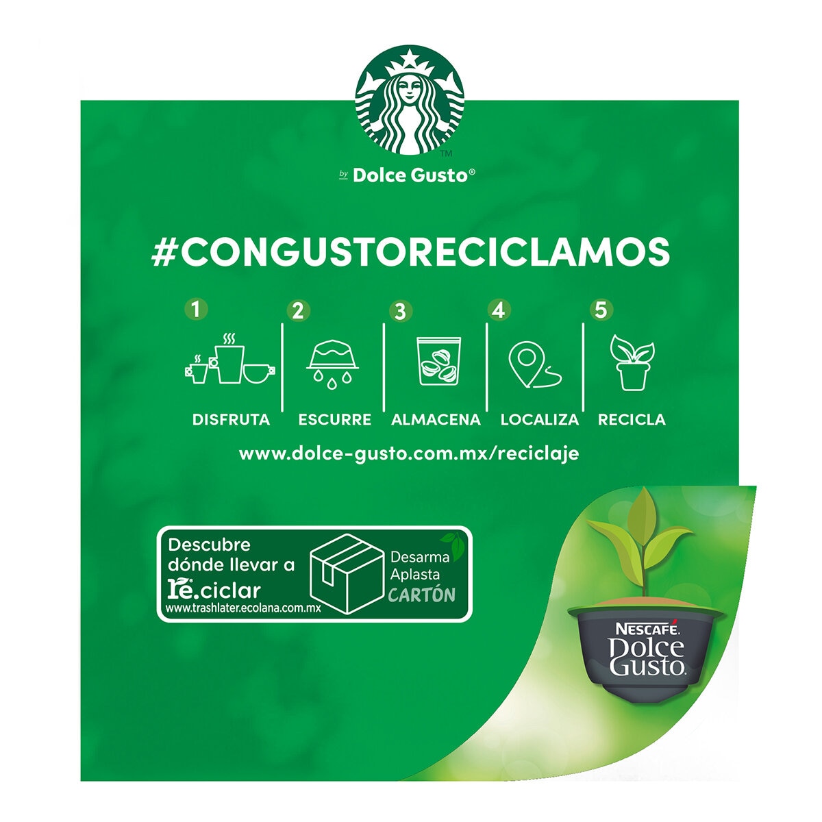 Nescafé Dolce Gusto Starbucks, 48 Cápsulas Variety Pack Nescafé Dolce Gusto Starbucks, 48 Cápsulas Variety Pack
