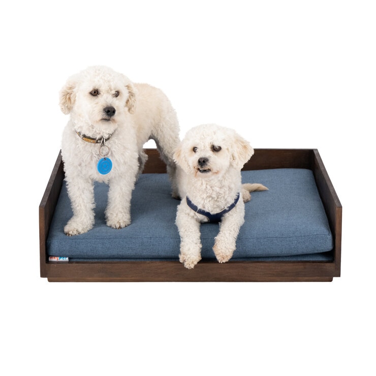Maypet, Cama de Madera Tamaño Mediano para Perro, Varios Colores