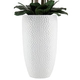 CG Hunter, Arreglo de Orquideas de Aspecto Natural