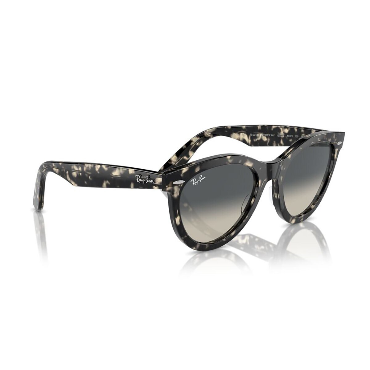 Ray Ban 0RB224113337154 Lentes de Sol