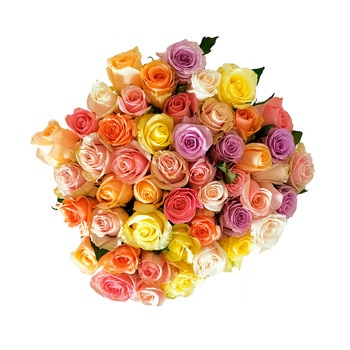 Chiltepec, Bouquet de 48 Rosas en Colores Pasteles