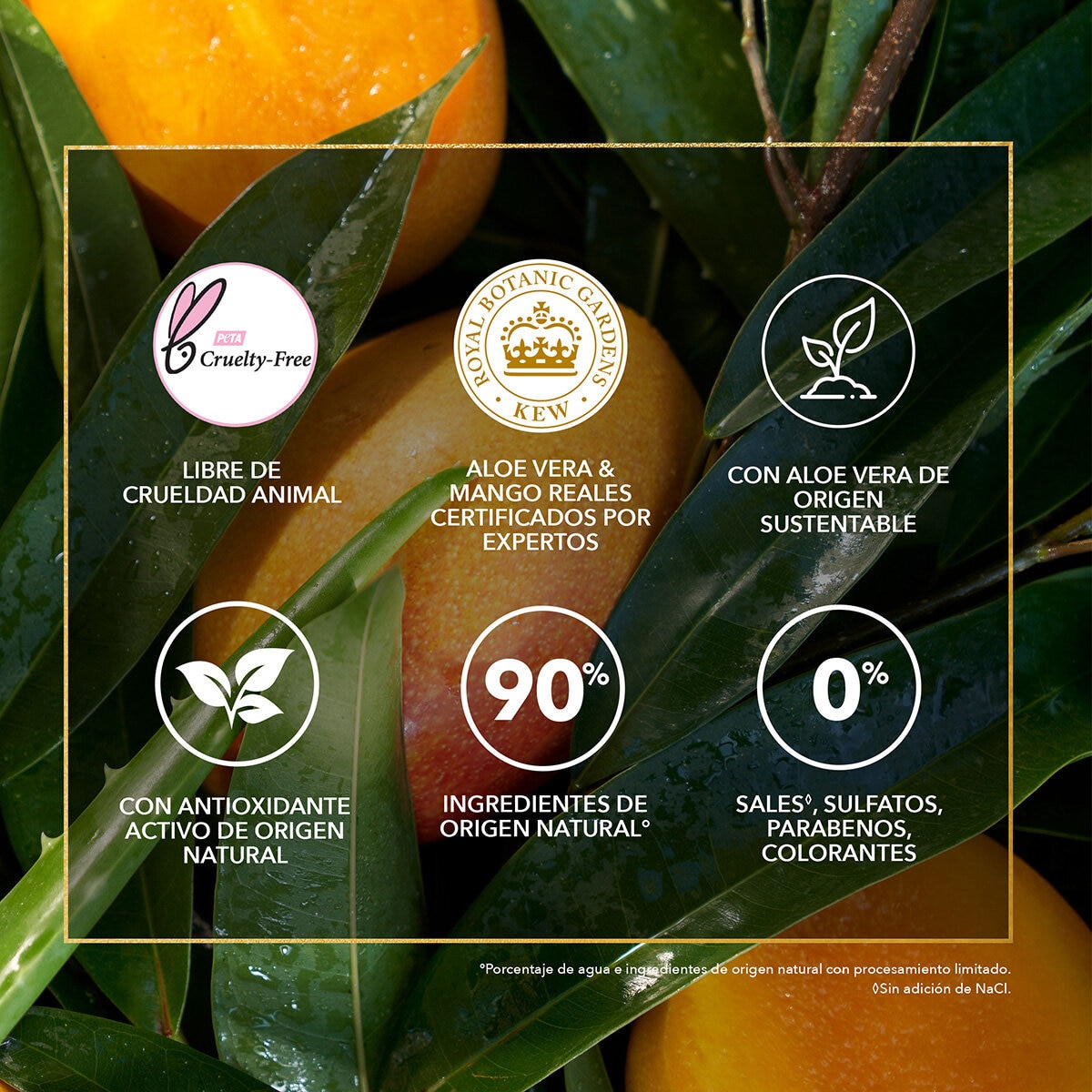 Herbal Essences Shampoo Bio:Renew Aloe & Mango Protege & Repara 865 ml