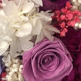 Alive, Bouquet Mix Lila, Caja Negra, Duración 6 Meses. Alive, Bouquet Mix Lila, Caja Negra, Duración 6 Meses.