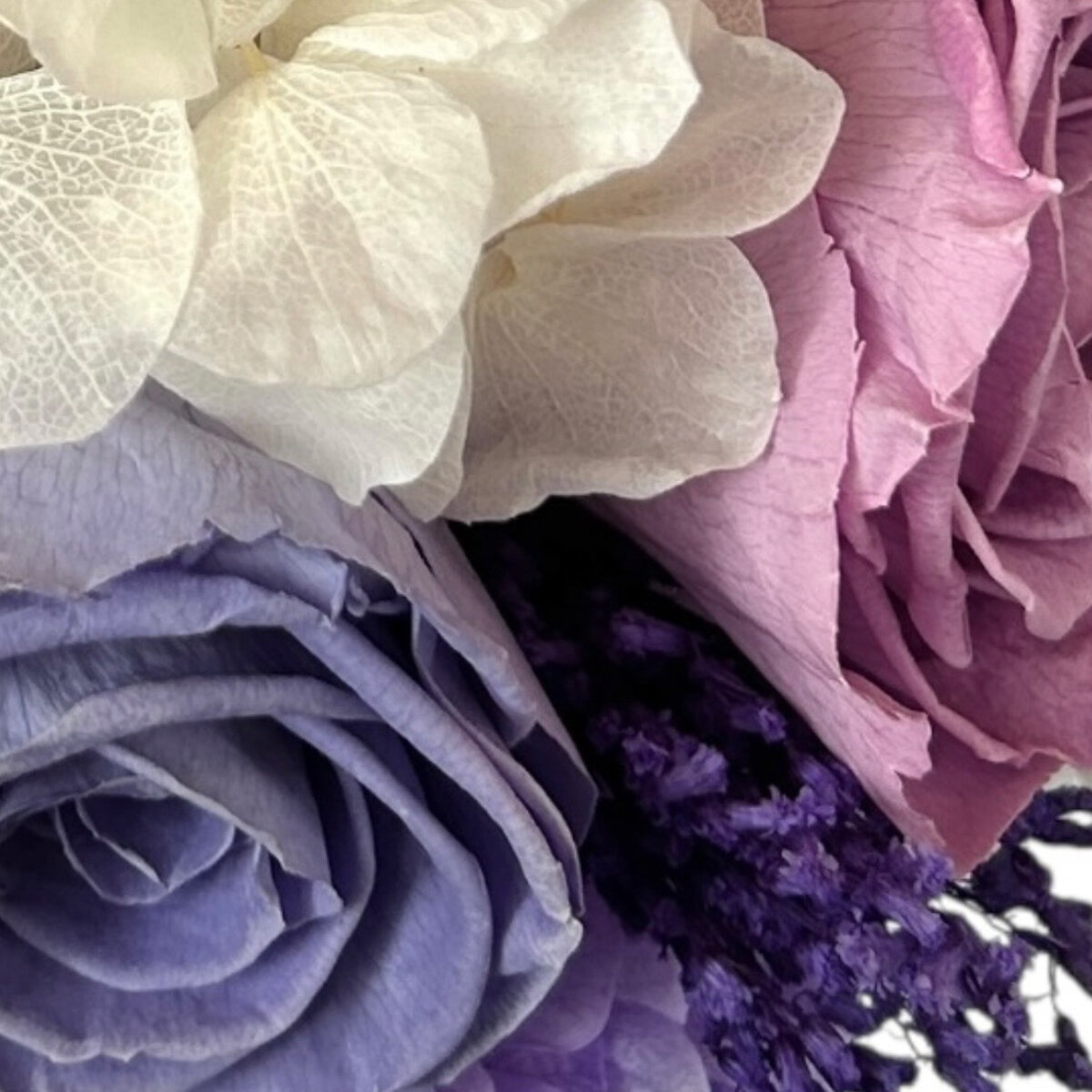 Alive, Bouquet Mix morado, Caja Blanca, Duración 6 Meses. Alive, Bouquet Mix morado, Caja Blanca, Duración 6 Meses.