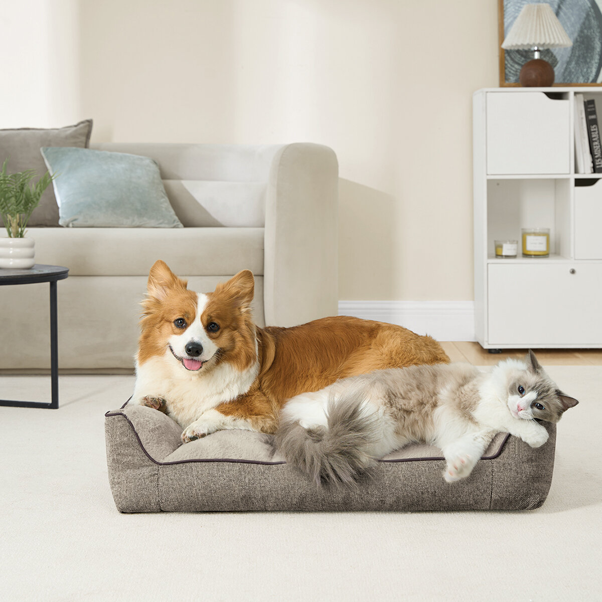 Kirkland Signature Cama Rectangular para Mascota