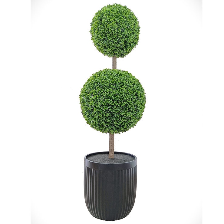 CG Hunter, Árbol Topiario de Boj de Aspecto Natural