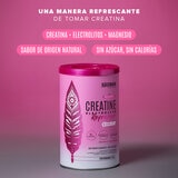 Birdman Creatina Refresher Pink Lemonade 500g Birdman Creatina Refresher Pink Lemonade 500g