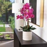 CG Hunter, Arreglo de Orquídeas de Aspecto Natural Rosa
