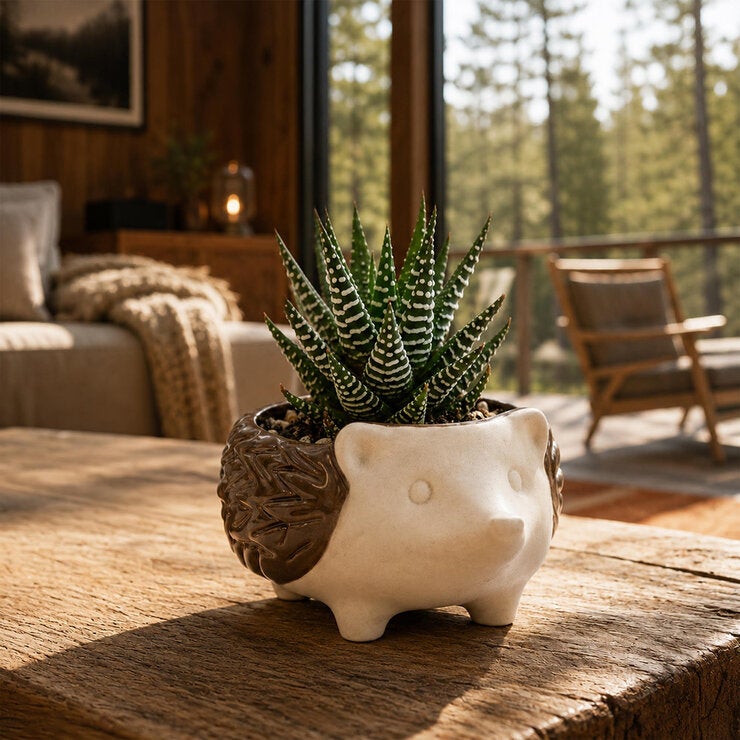 Estudio Floga, Maceta de Cerámica en Forma de Erizo, 1 Pieza. Estudio Floga, Maceta de Cerámica en Forma de Erizo, 1 Pieza.