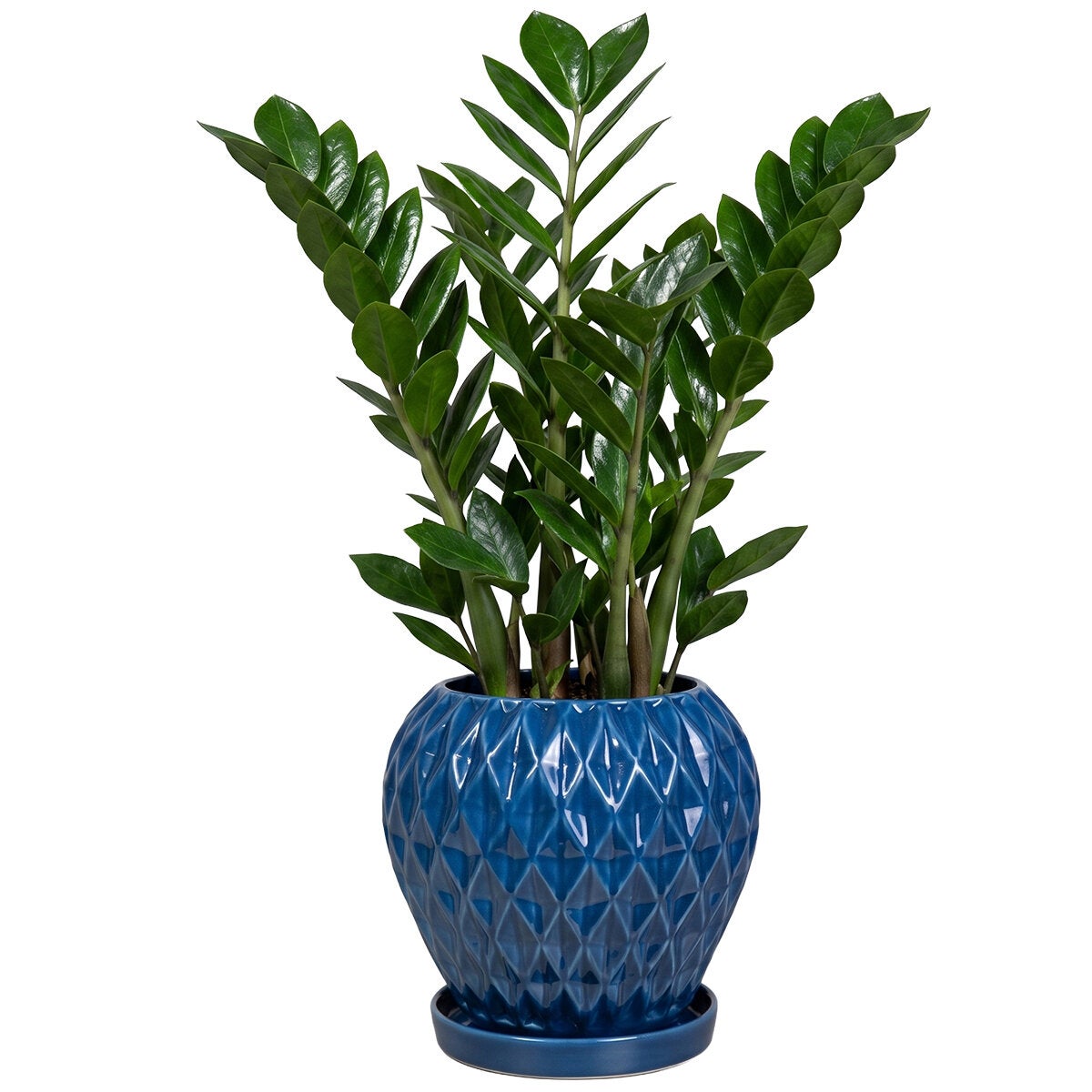Estudio Floga, Maceta de Cerámica, Estilo Fresa, 1 Pieza Estudio Floga, Maceta de Cerámica, Estilo Fresa, 1 Pieza