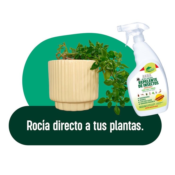 Fess, AKBA Repelente de Insectos Fuerza Canela 4.78L