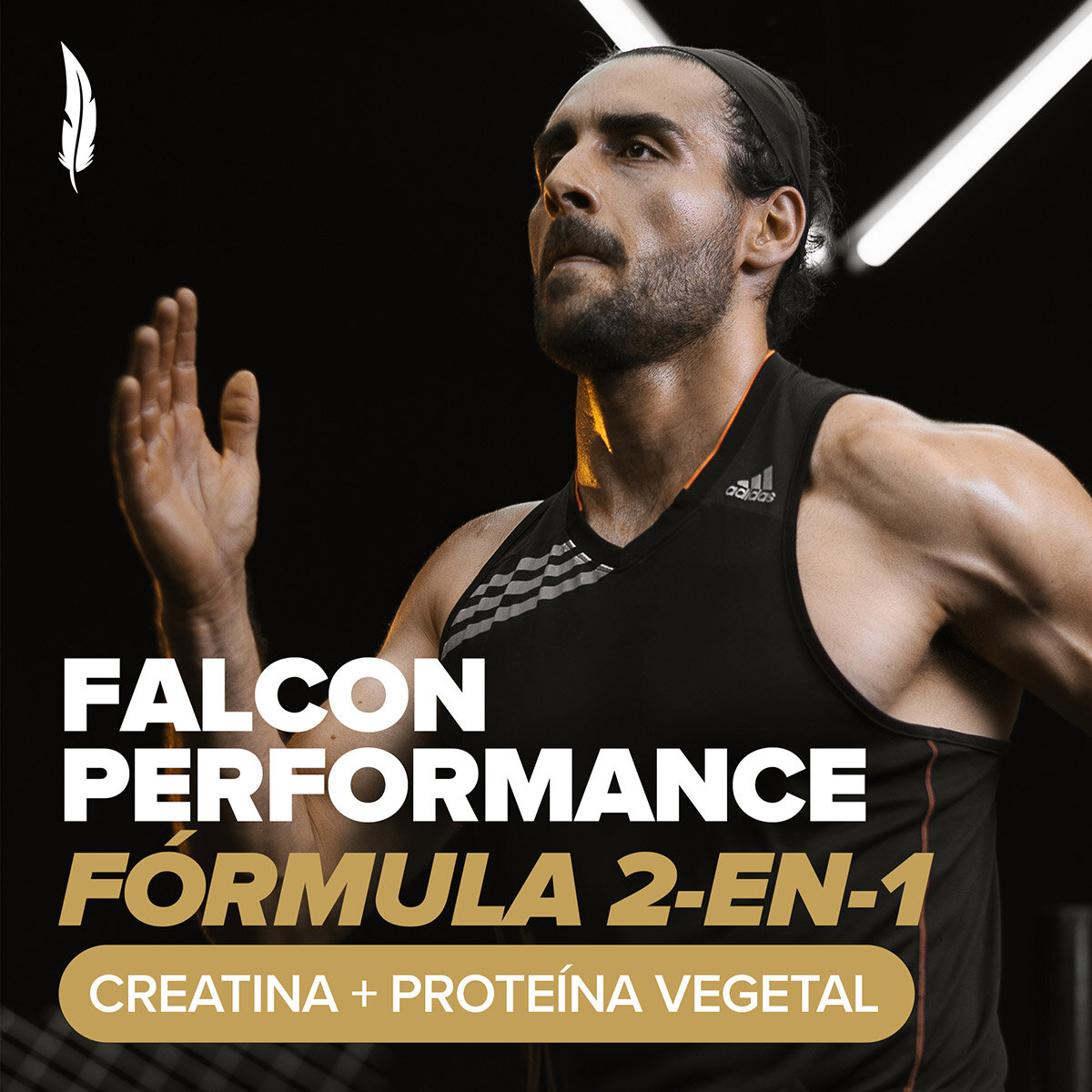 Birdman Falcon Performance Proteína Vegetal Sabor Vainilla 2.1 kg