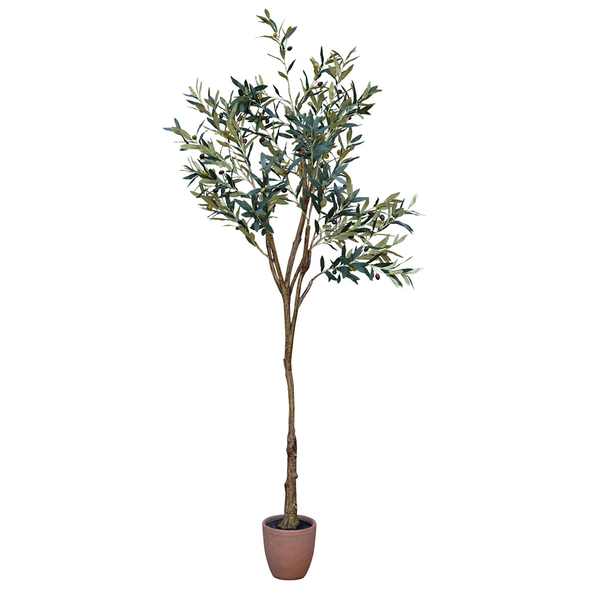 Apariencia Natural, Olivo Artificial Apariencia Natural, Olivo Artificial