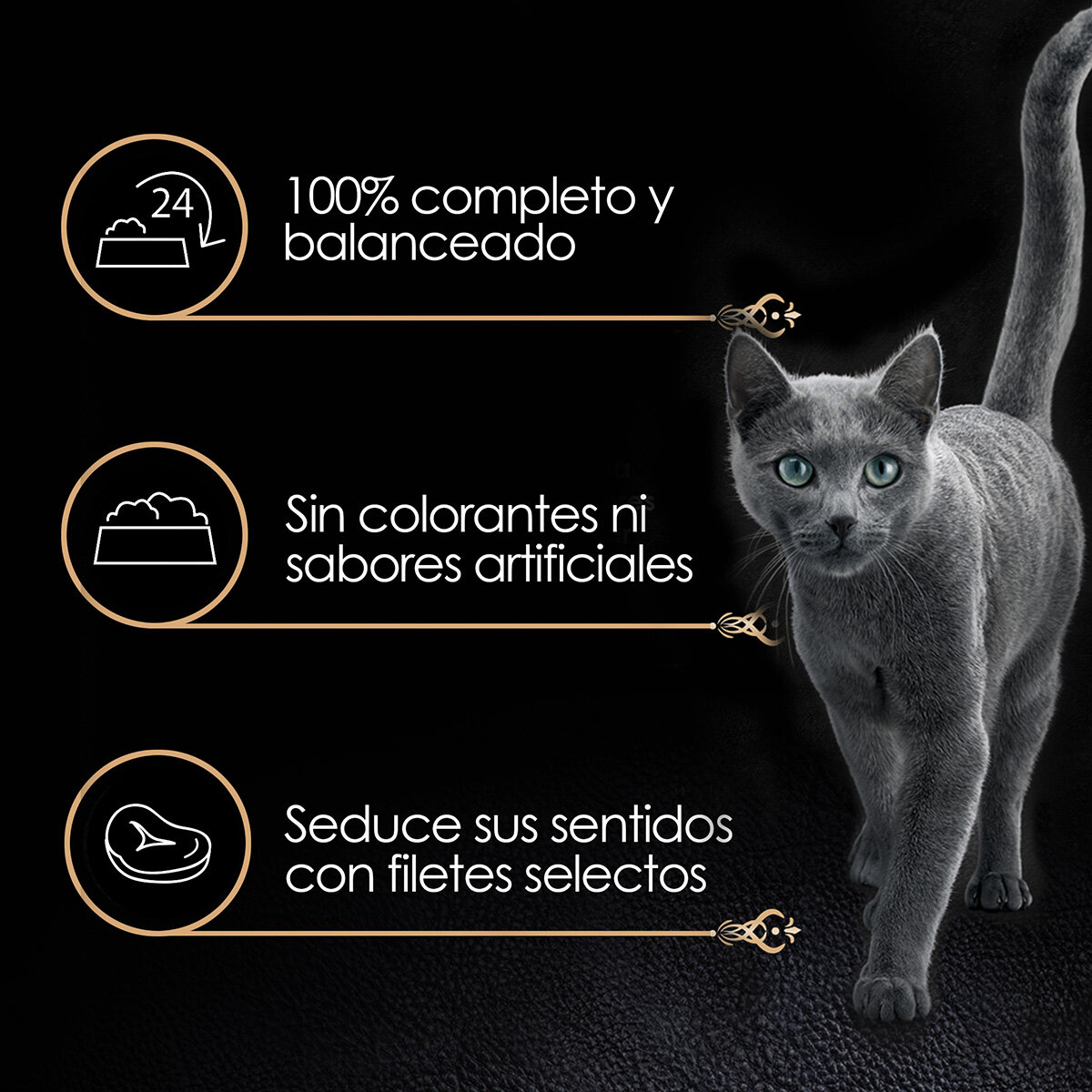 Sheba Alimento Húmedo para Gato Multisabor 24 pzas de 85 gr