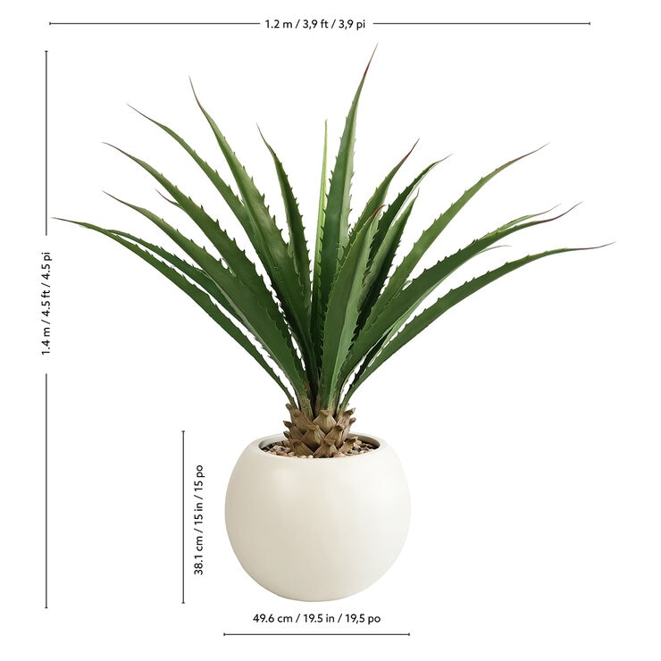 CG Hunter, Agave Artificial