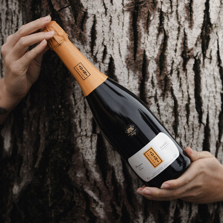 Prosecco Adami Garbél 750 ml Prosecco Adami Garbél 750 ml