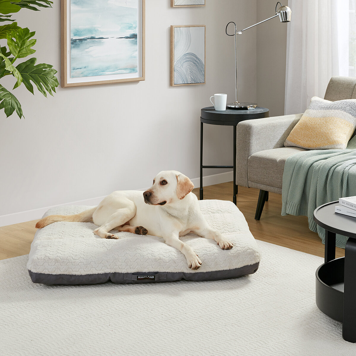 Kirkland Signature Cama para Mascotas