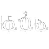 Juego de 3 Calabazas