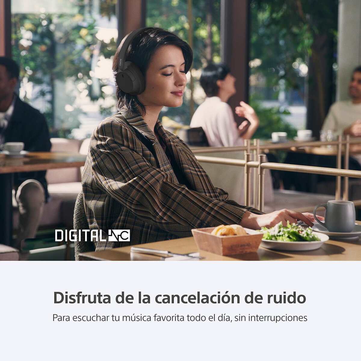 Sony Audífonos Inalámbricos WH-CH720N/BZ Negro