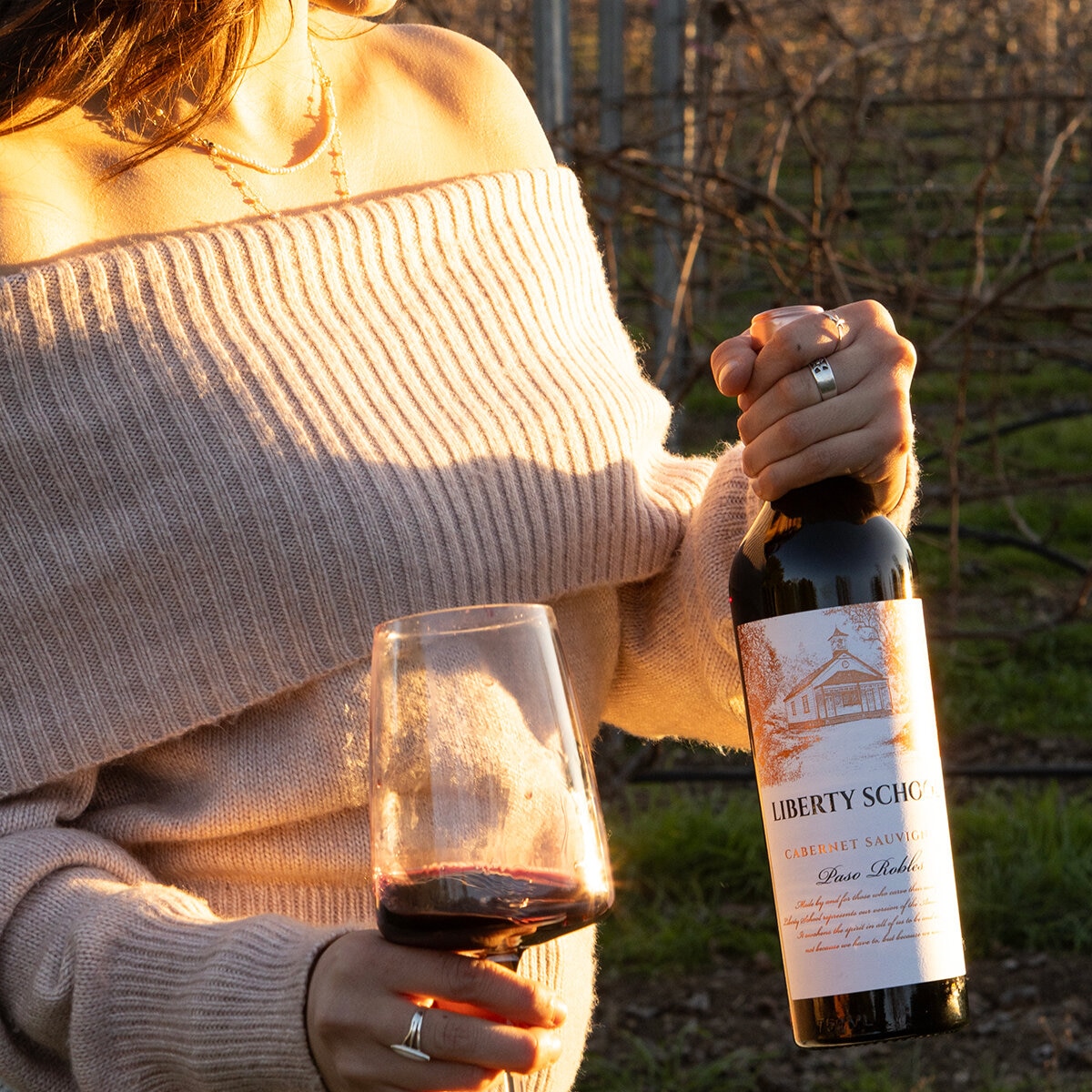 Vino Tinto Liberty School 750ml