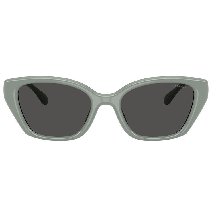 Coach 0HC8434U Lentes de Sol
