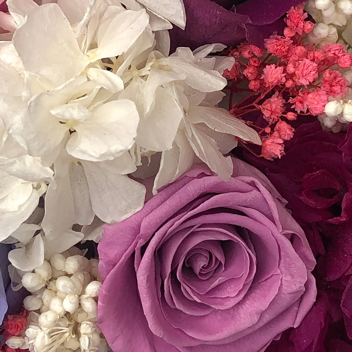 Alive, Bouquet Mix Lila, Caja Negra, Duración 6 Meses. Alive, Bouquet Mix Lila, Caja Negra, Duración 6 Meses.