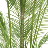 CG Hunter, Palmera Artificial