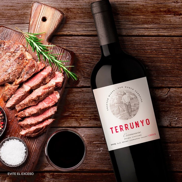 Vino Tinto Terrunyo Carmenere 750ml