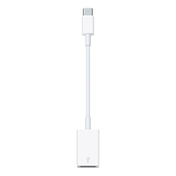 Nuevo Apple Pencil con USB-C: Apple adopta el nuevo puerto en su lápiz  más barato hasta la fecha, precio en México y iPad compatibles