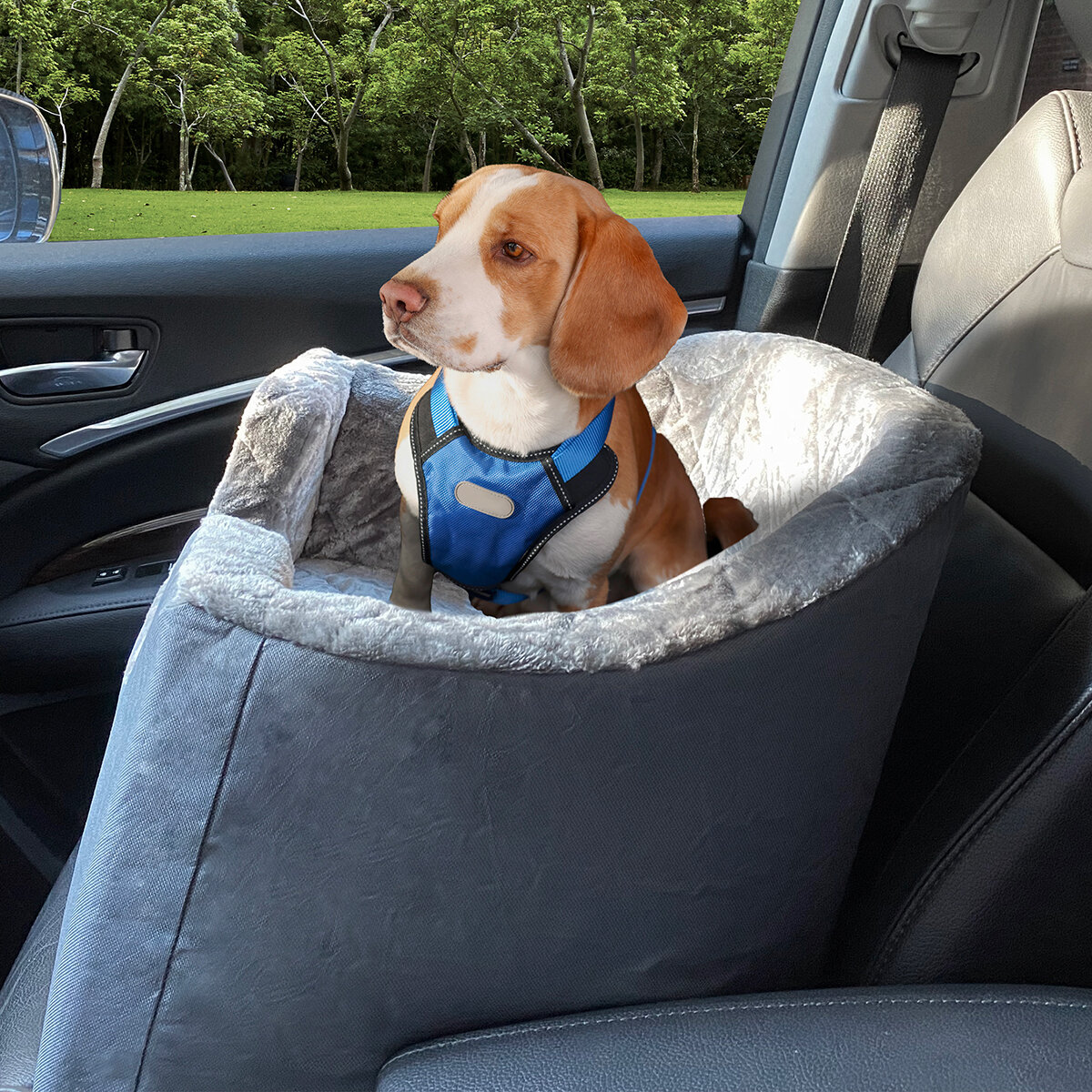 Arlee Asiento para Perro 1 pza