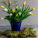 Over & Back, Chelsea Set de 2 Macetas de Cerámica Azul