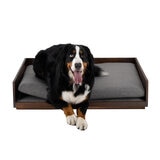 Maypet Cama de Madera Tamaño Grande para Perro, Varios Colores