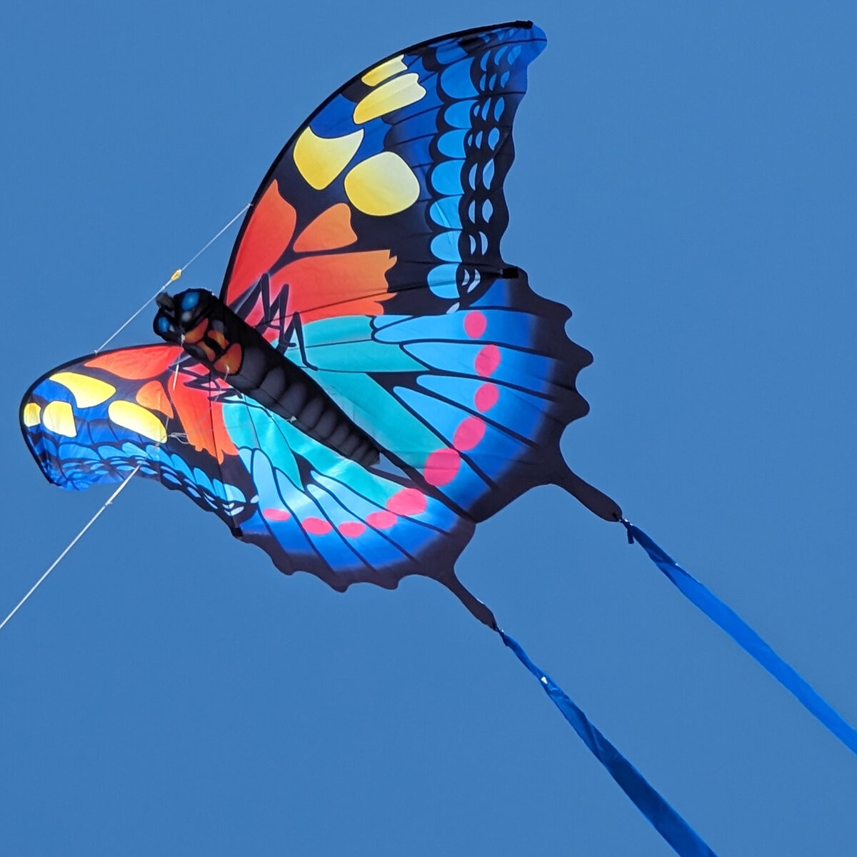 Brainstorm Papalote de Nylon Tamaño Gigante: Mariposa