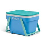 Igloo Hielera de 23 Litros Cesta de Picnic