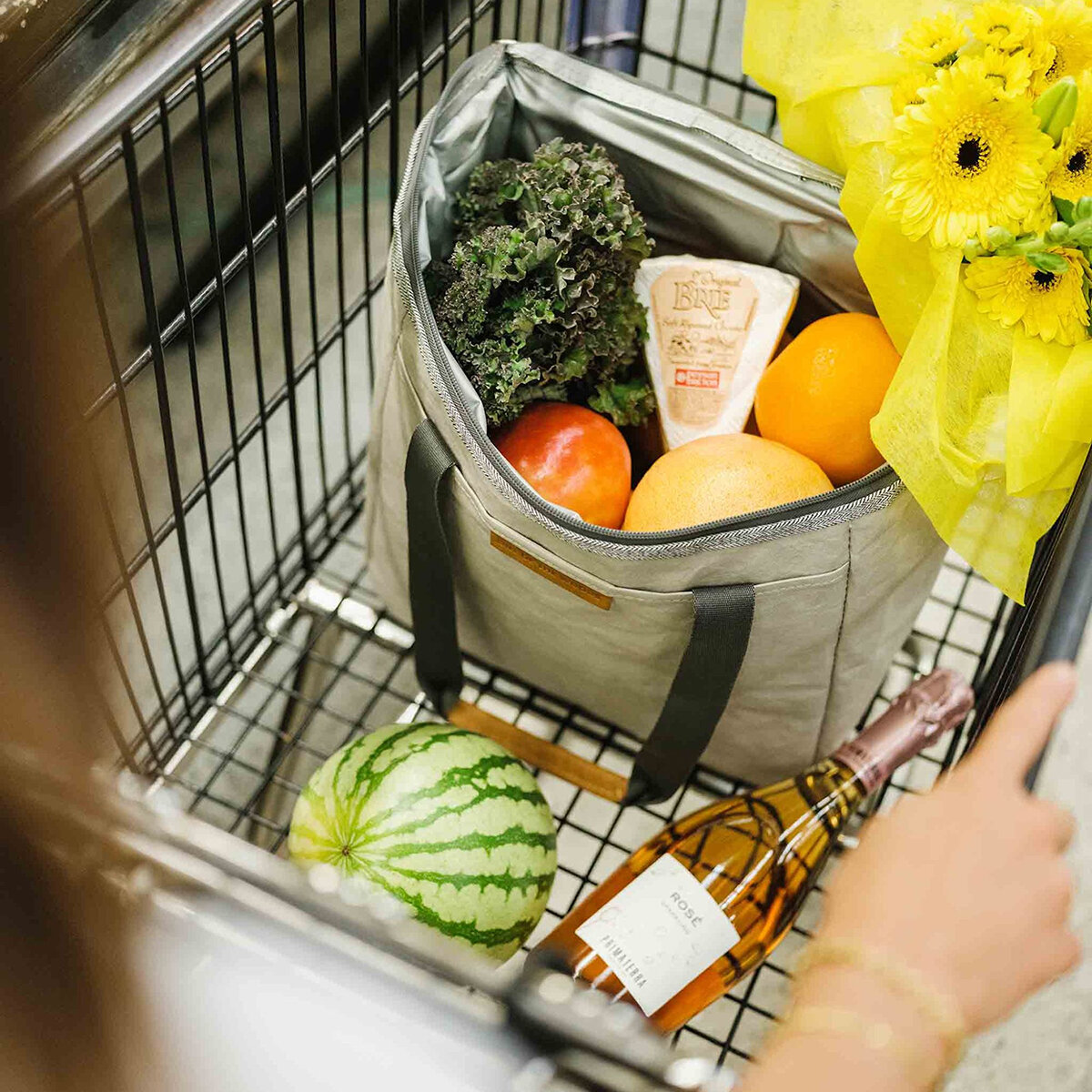 Out Of The Woods Lonchera Dolphin