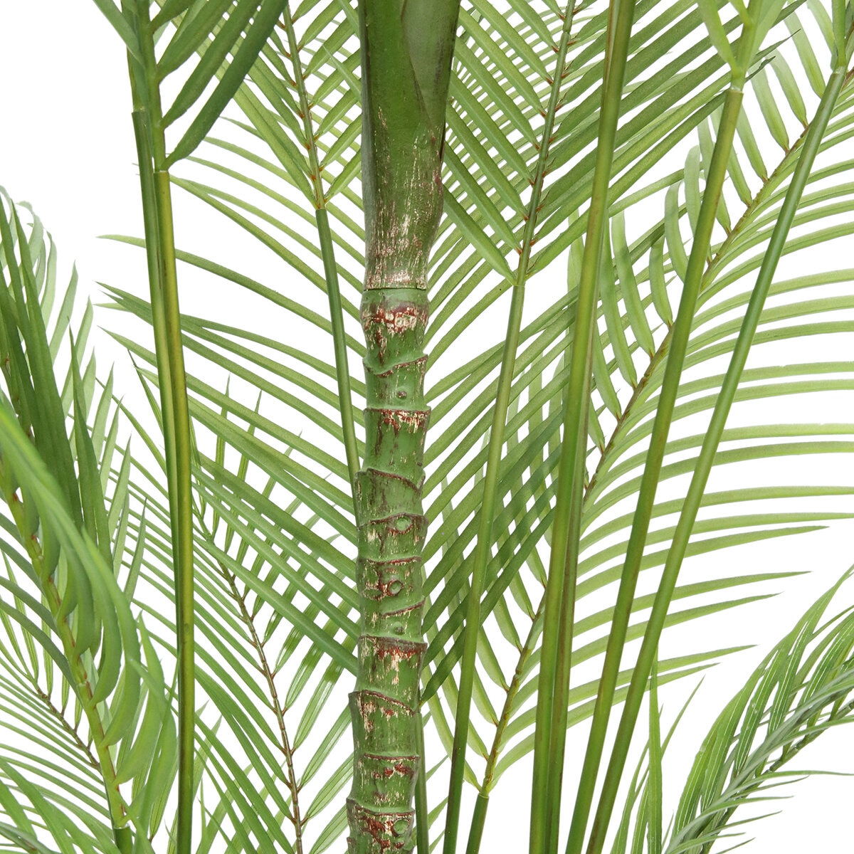 CG Hunter, Palmera Artificial