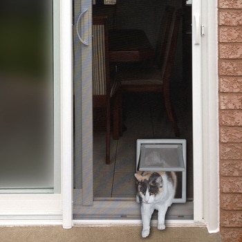 Ideal Pet Products Screen Fit puerta para gato