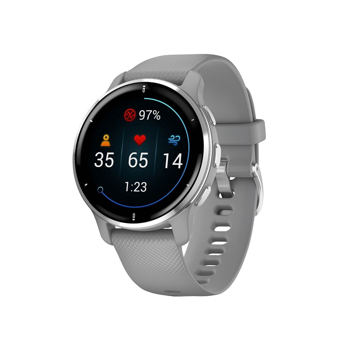 Garmin Smartwatch Venu 2 Plus con GPS 43mm Gris