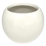 PREVENTA Chiltepec, Orquidea Sorpresa con Maceta para Día de las Madres