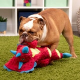 Go Dog Juguete para Perro 1 pza