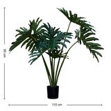 Apariencia Natural, Garra de León Artificial Apariencia Natural, Garra de León Artificial