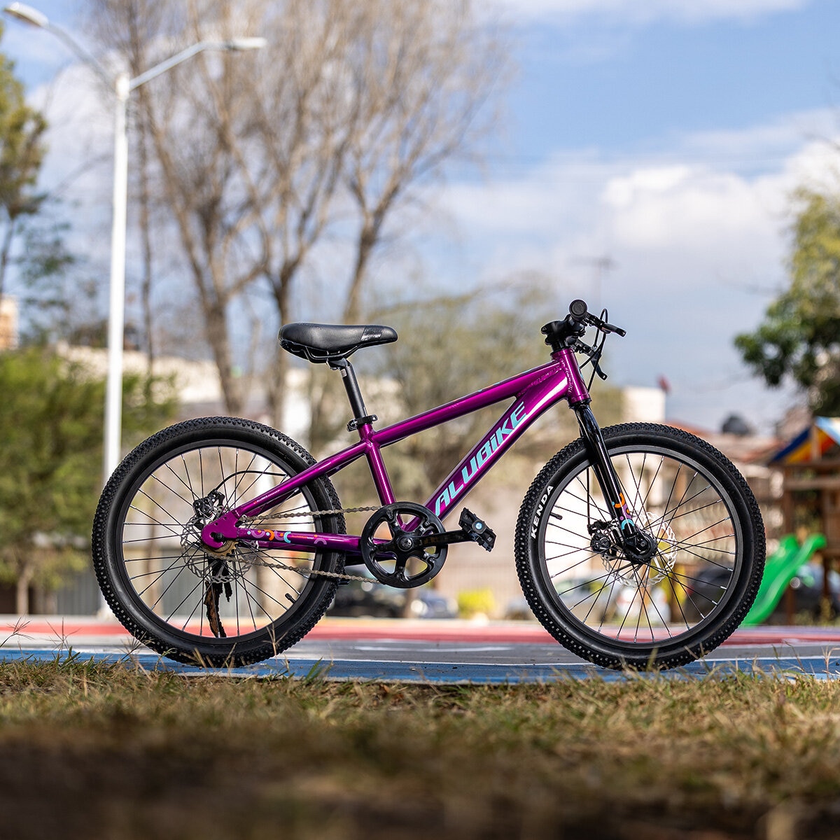 Bicicleta de Montaña R20 Alubike Siera Morada