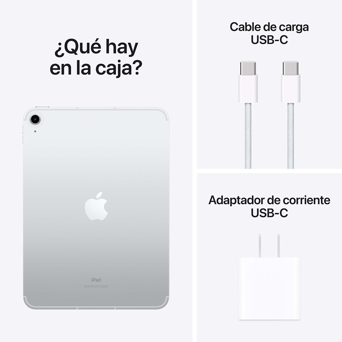Apple iPad 10.9" Wifi + Celular 256GB Gris (10ma Generación)