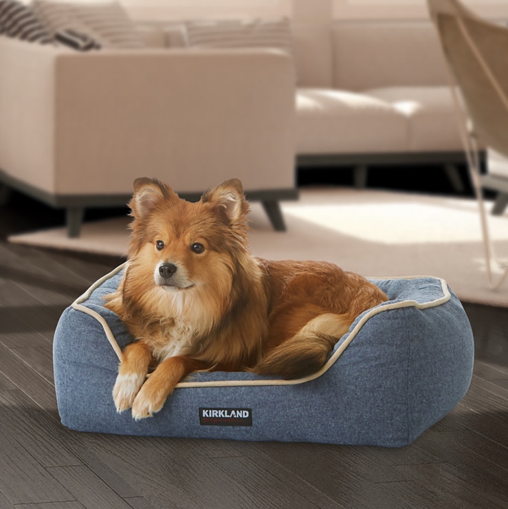 WhyGoTurkey Travel Planner