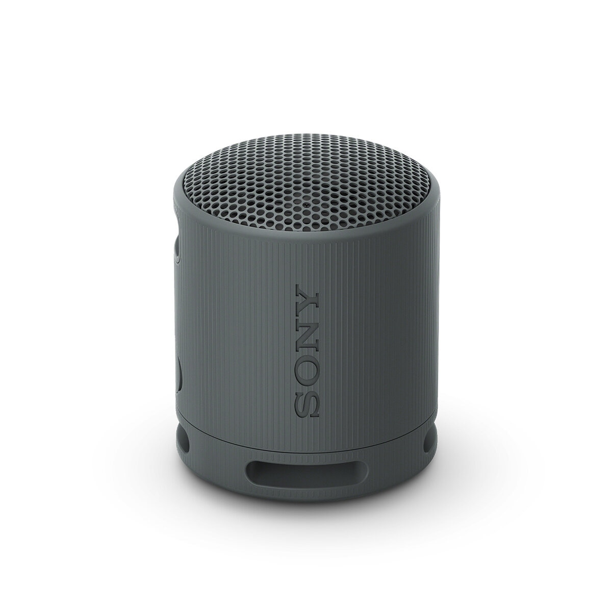 Sony SRS-XB100 Bocina Inalámbrica Portátil Negro