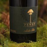 Vino Tinto Santa Rita Pewën de Apalta Carmenere 750 ml