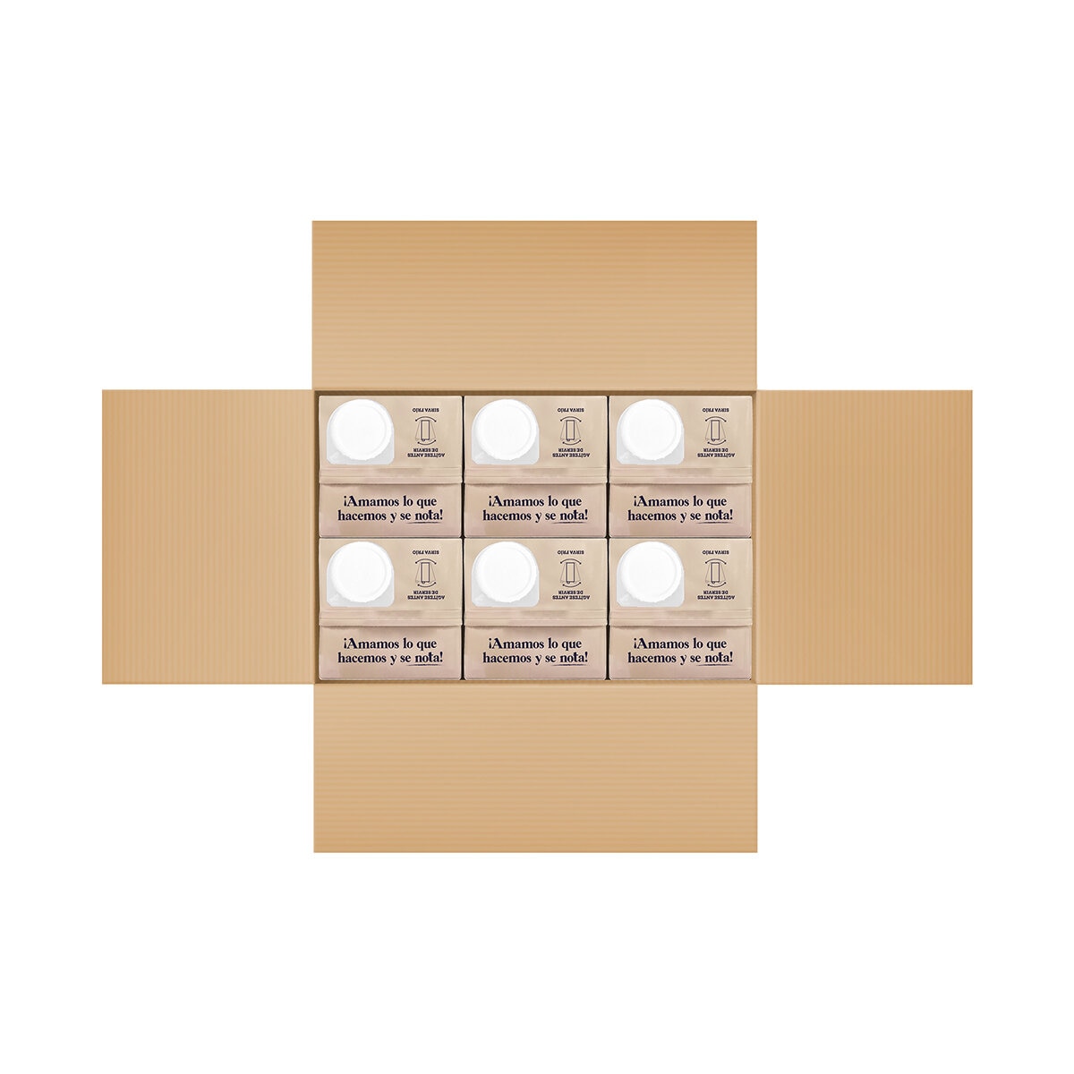 Terra Artesana Bebida de Avena 6 pzas de 946 ml