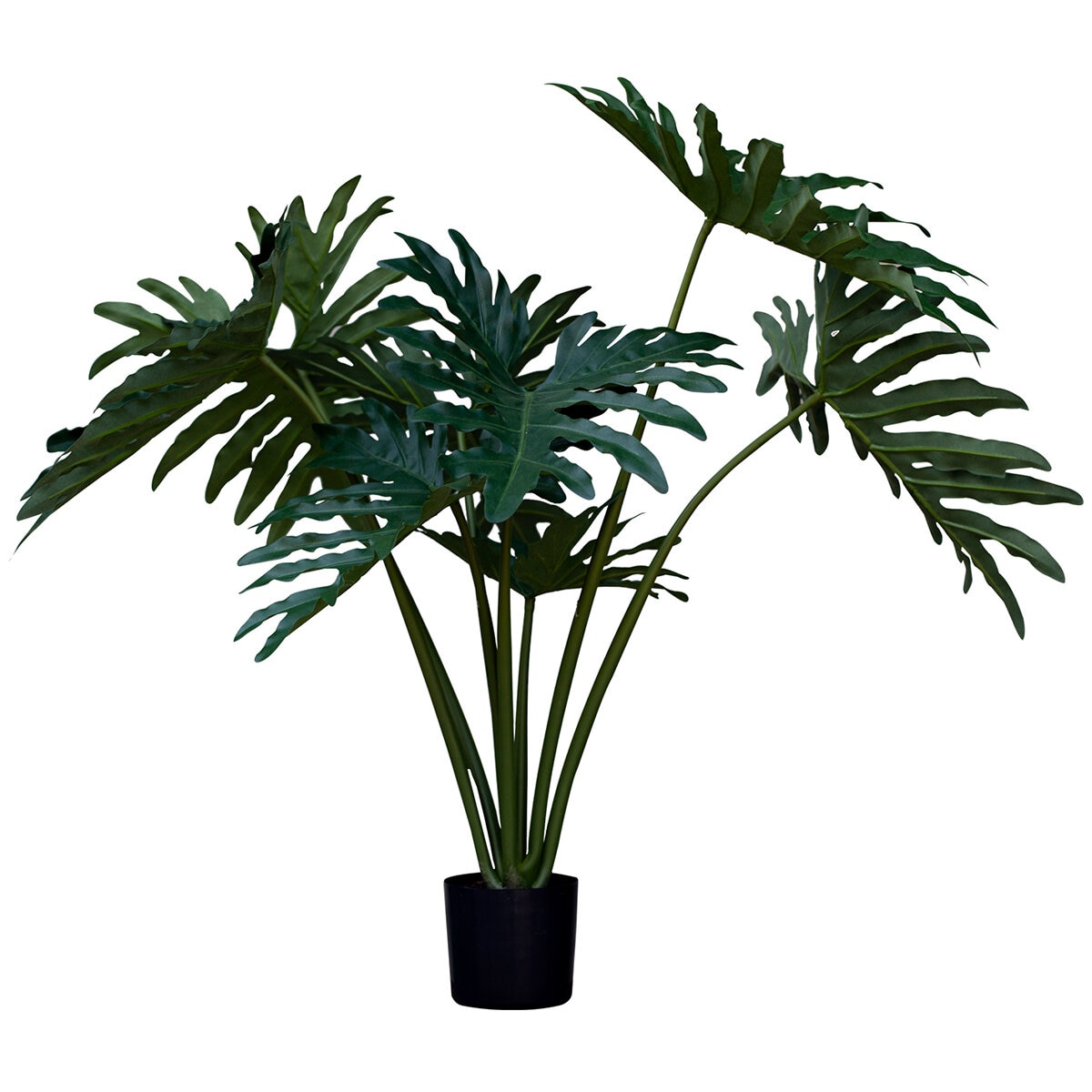 Apariencia Natural, Garra de León Artificial Apariencia Natural, Garra de León Artificial