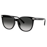 Coach 0HC8414BD50023C57 Lentes de Sol